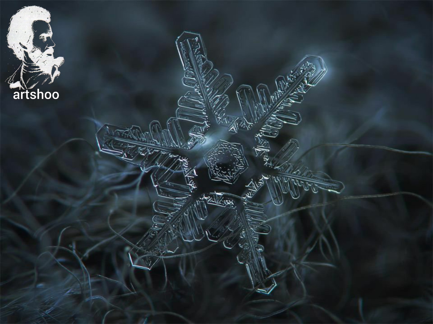 سیاه قلم مدل مداد سفید